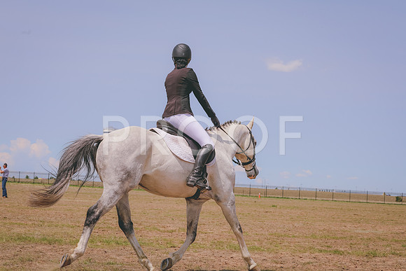 CLSL8319