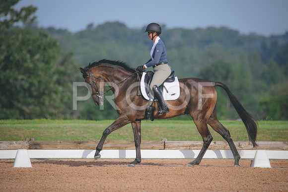 RWP_4376