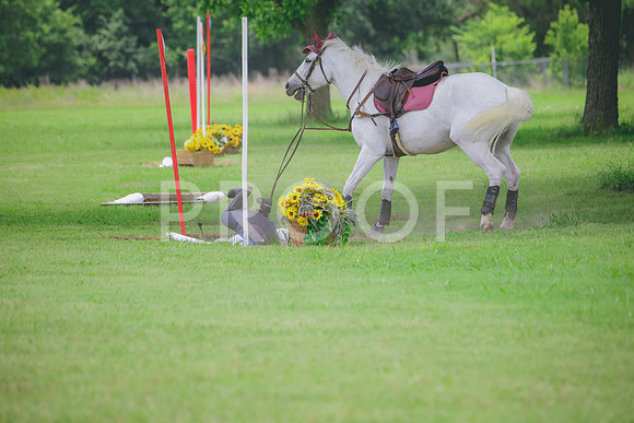 RWP_2811