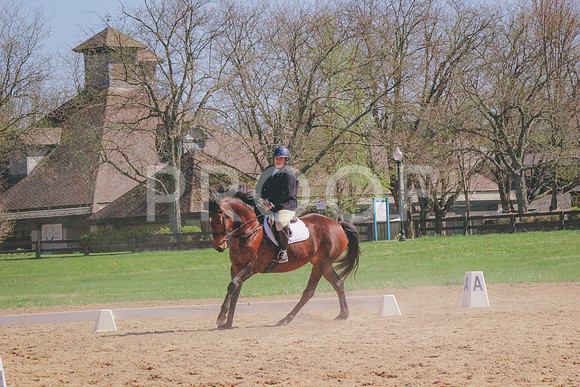 IMG_2340