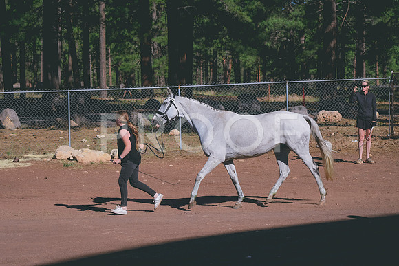 DSC_2411