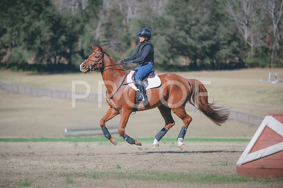 JJS_0278