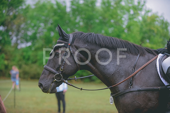 JJS_0119