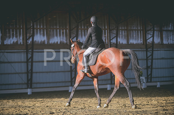 JJS_1873