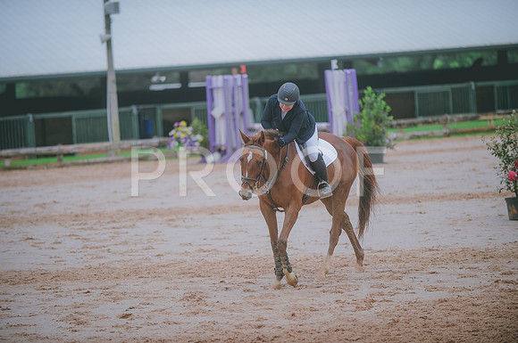 000_3436 copy