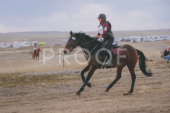 CDH_0354