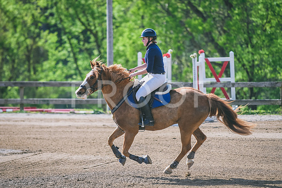 DSC_8716