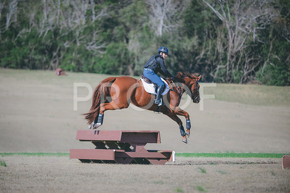 JJS_0292