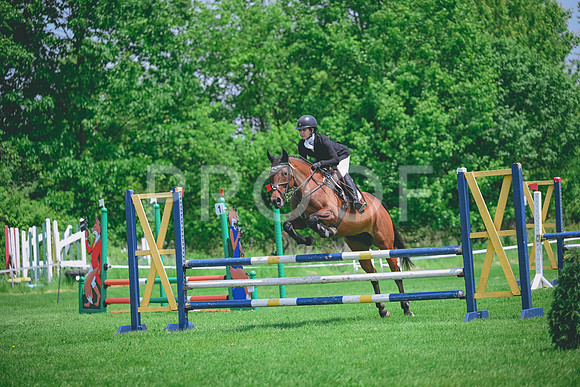 DSC_8177