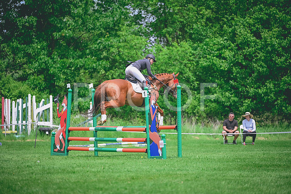 DSC_8573