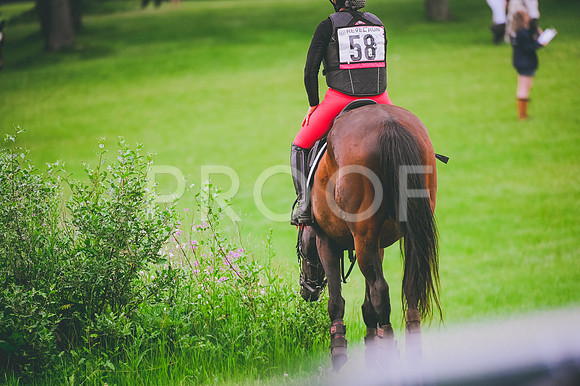 DSC_0603