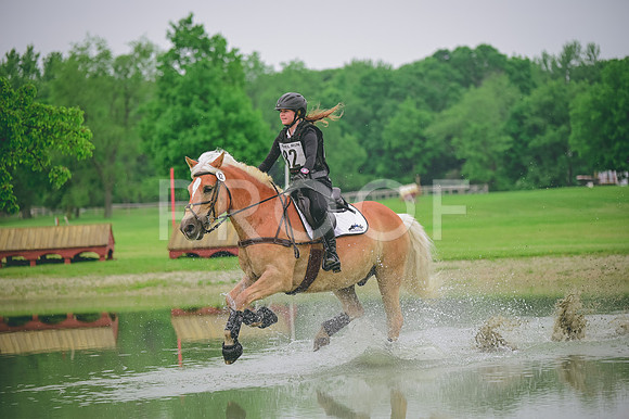 DSC_6853