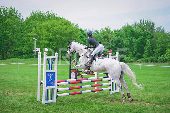 DSC_9432