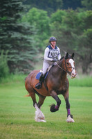 DSC_6234