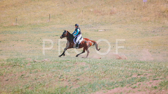0N0A0224