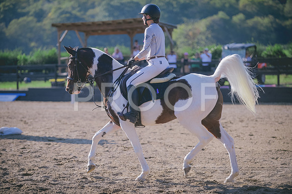 JJS_7577