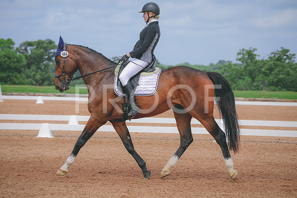 RWP_4158