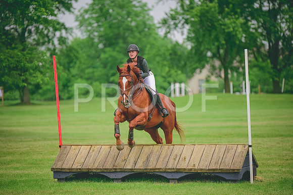 DSC_8913