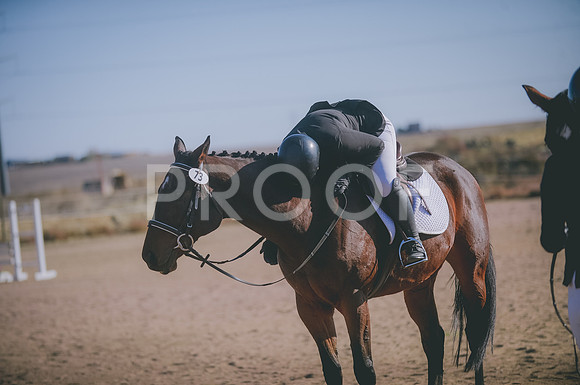 JJS_1589
