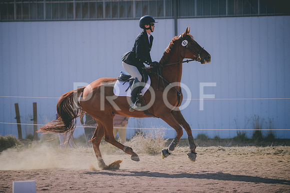 JJS_3288