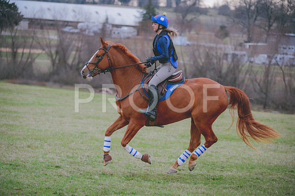 JJS_0764