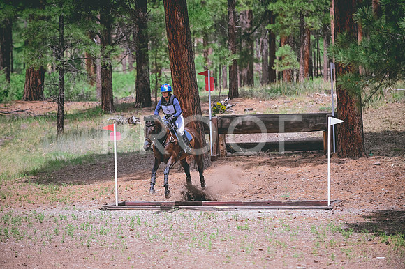 DSC_4284