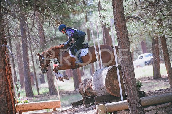DSC_3503