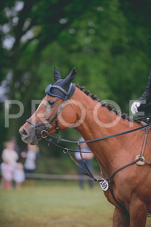 JJS_0159