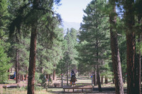 DSC_2574
