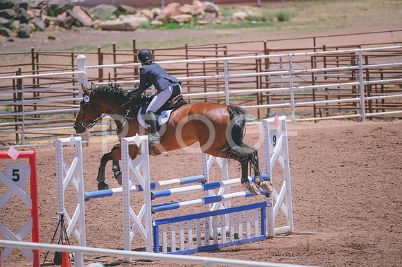 DSC_8622