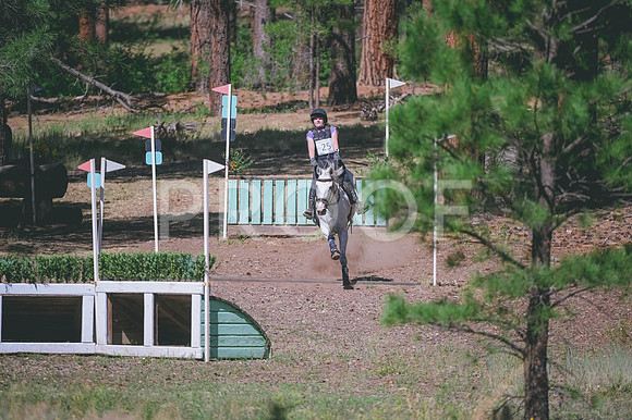 DSC_3006