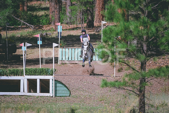DSC_3005