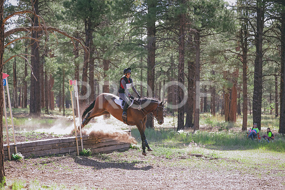 JAS_9978
