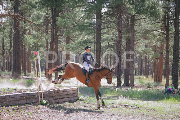 JAS_9996