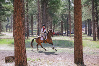 JAS_0075