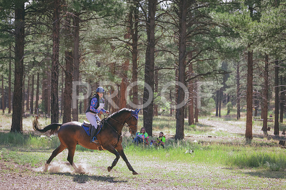 JAS_0204