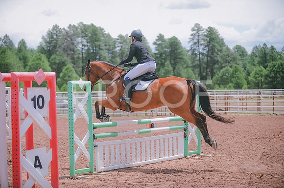 JJS_0384