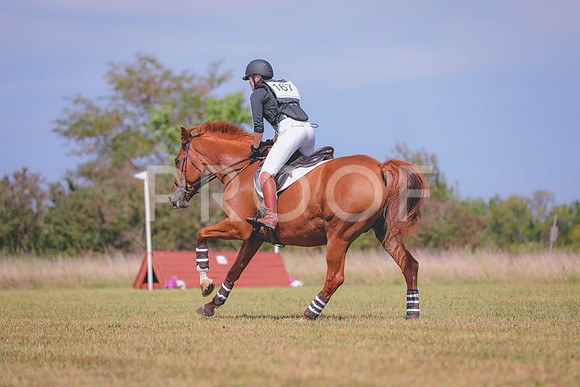 402A3527