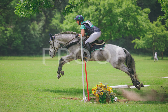 RWP_2010