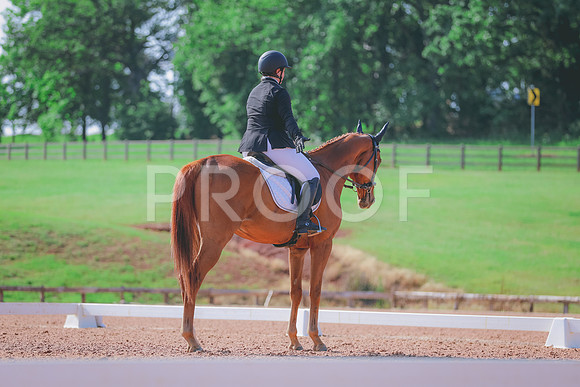 SH3_6611