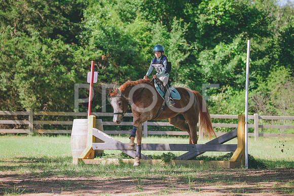 RWP_1353