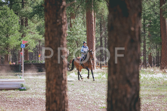 JAS_0297