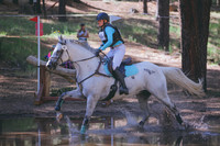 0N0A6271