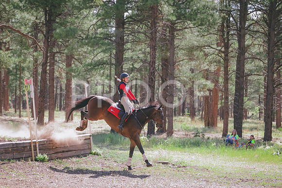 JAS_0364