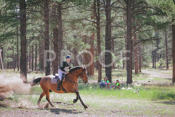 JAS_0396