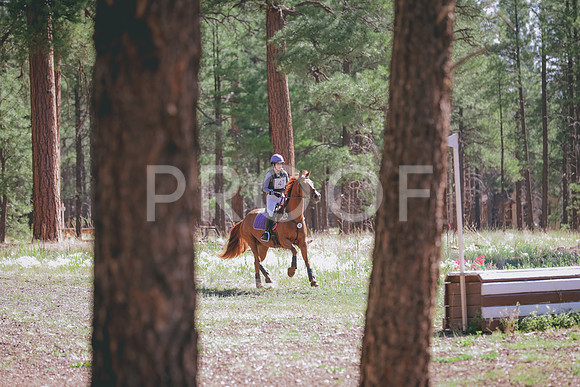 JAS_0415