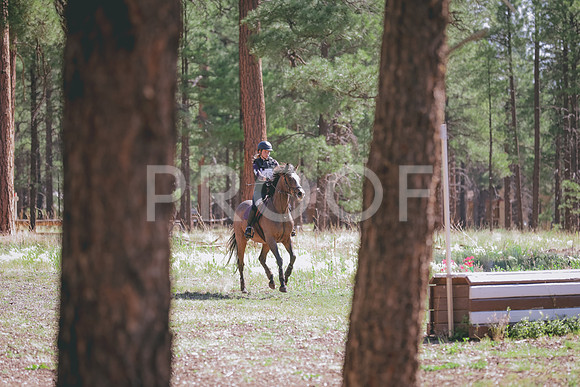 JAS_0441
