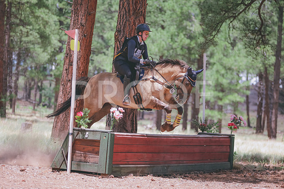 0N0A6822