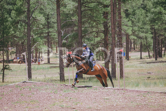 JAS_1210