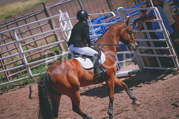 DSC_7131